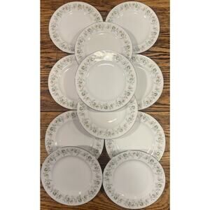 Johann Haviland Forever Spring 6" Bread Dessert Plates SET of 11 Bavaria Germany